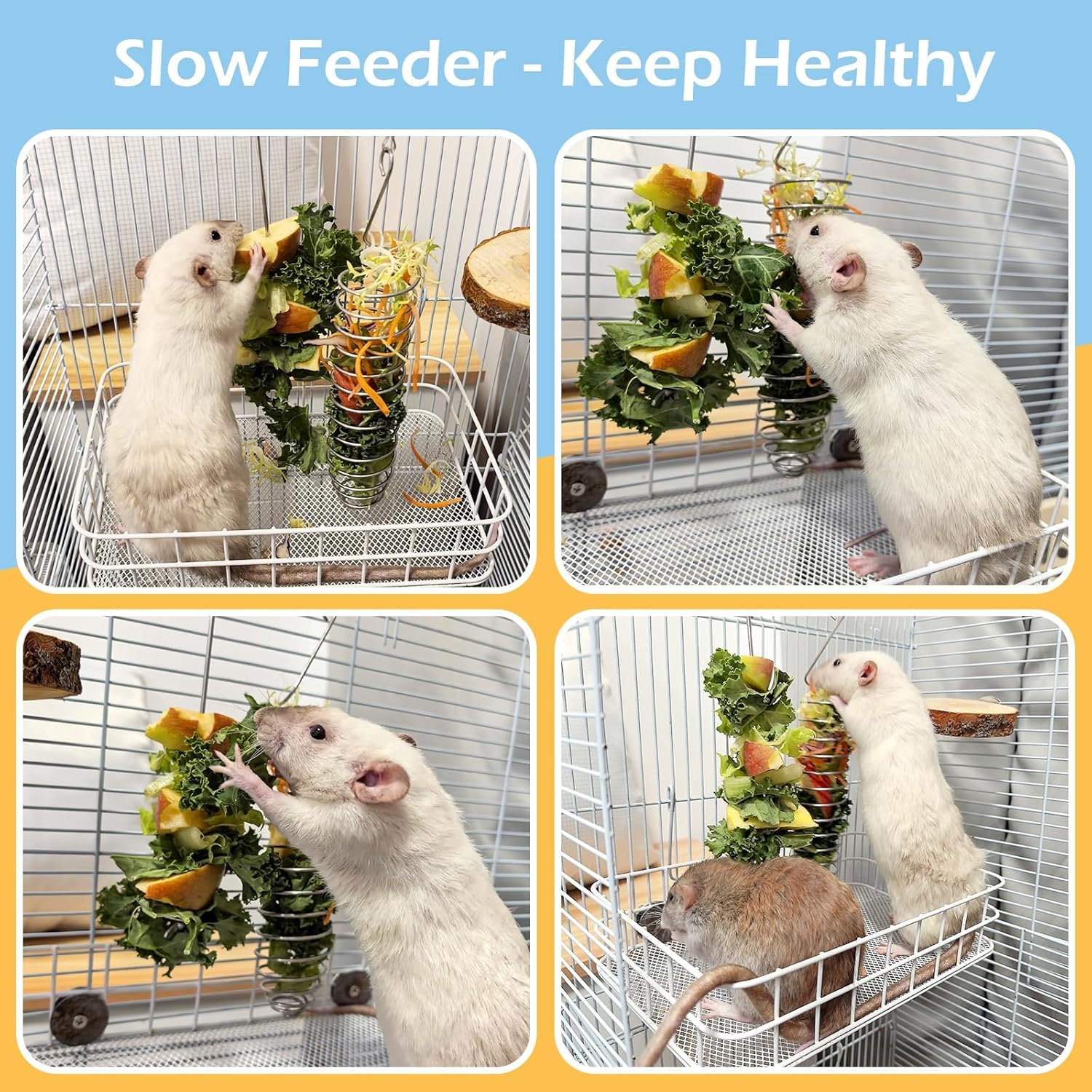 Jevnd slow-feeder foraging toy supports mindful eating and digestion.