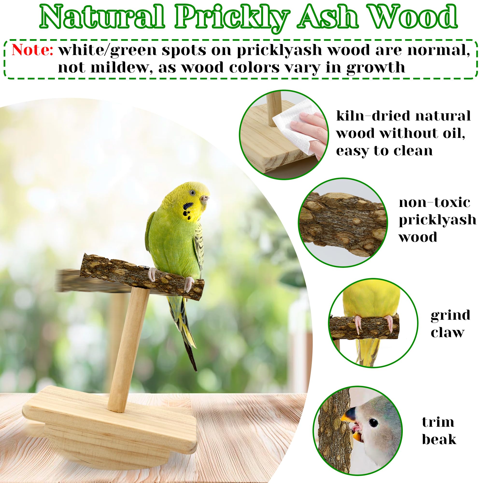Jevnd small-parrot training toy perch encourages interaction during play