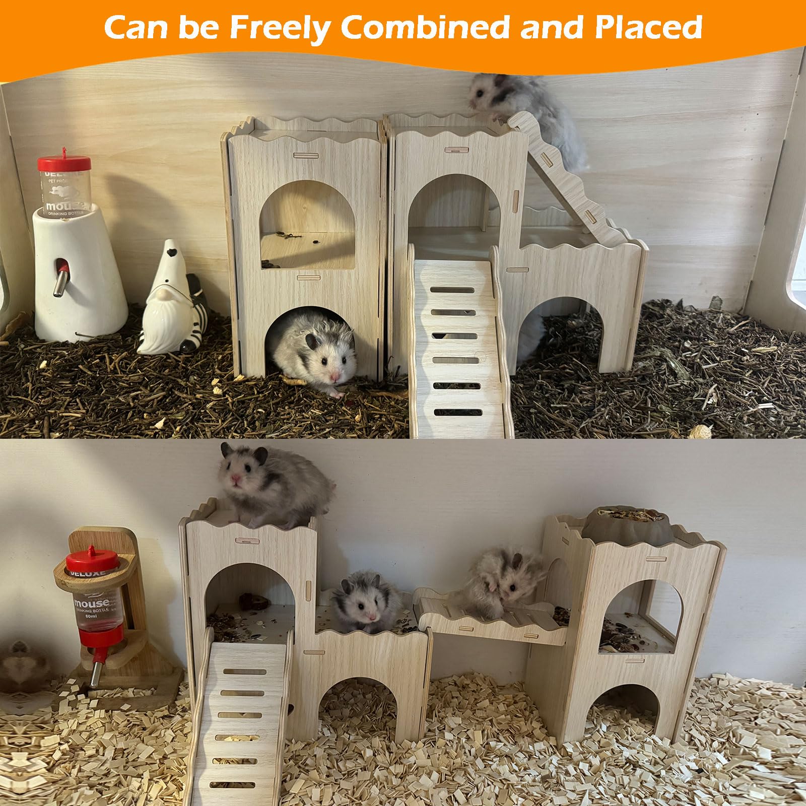 Jevnd Syrian hamster playtime frame shows balcony for activity and social interaction