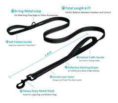 JEWOSTER 6ft nylon leash showing rugged webbing for durability.
