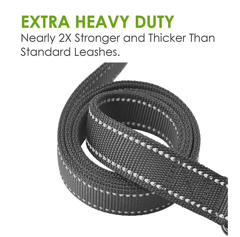 JEWOSTER leash with reflective threading for safer night strolls