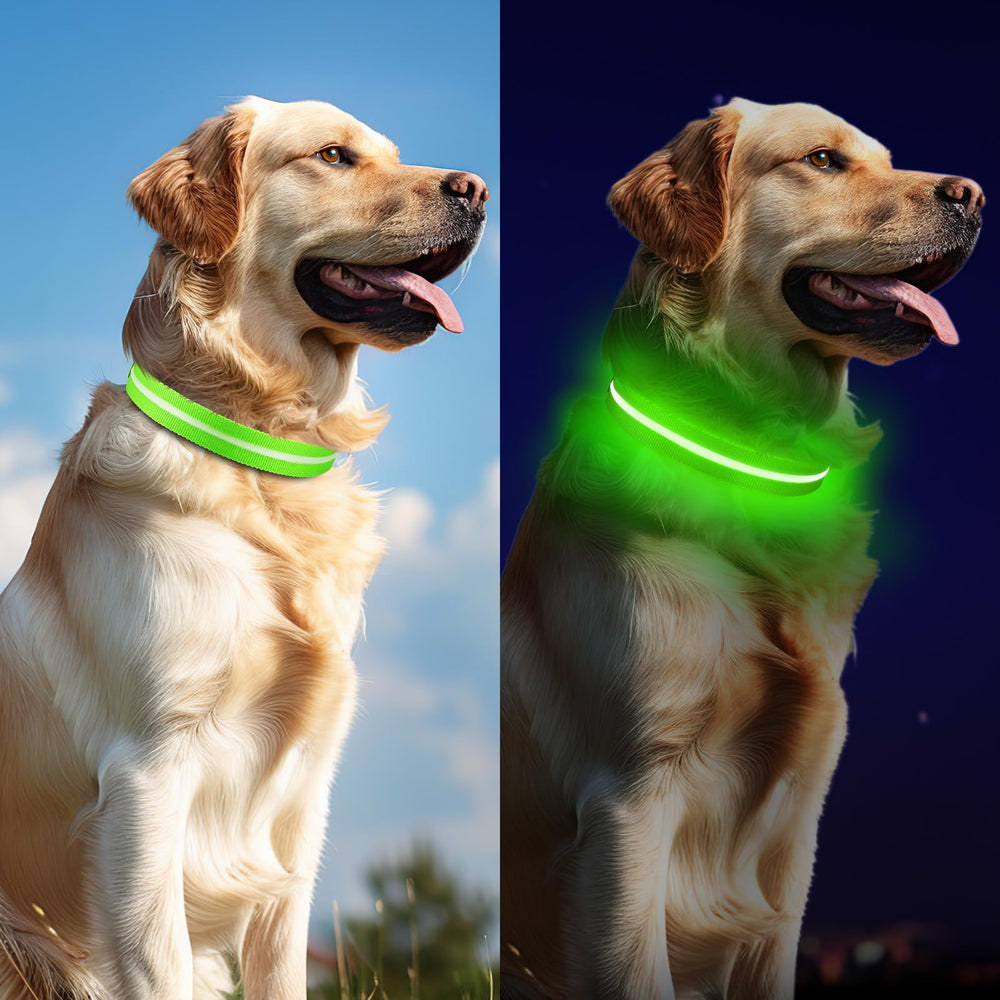 Jewyow light up dog collar adjustable buckle for a secure fit.