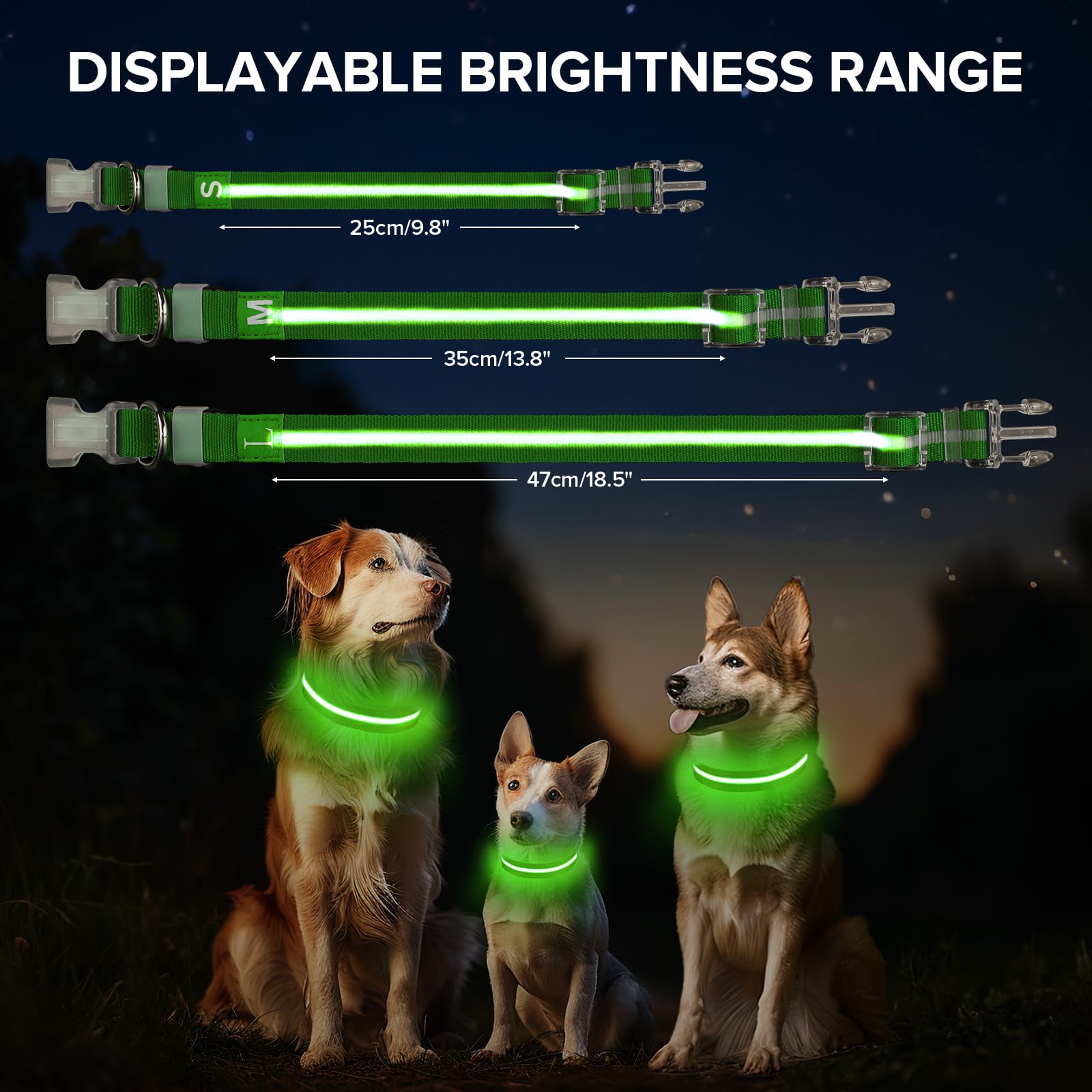 Jewyow light up dog collar shown during night walk for safety.