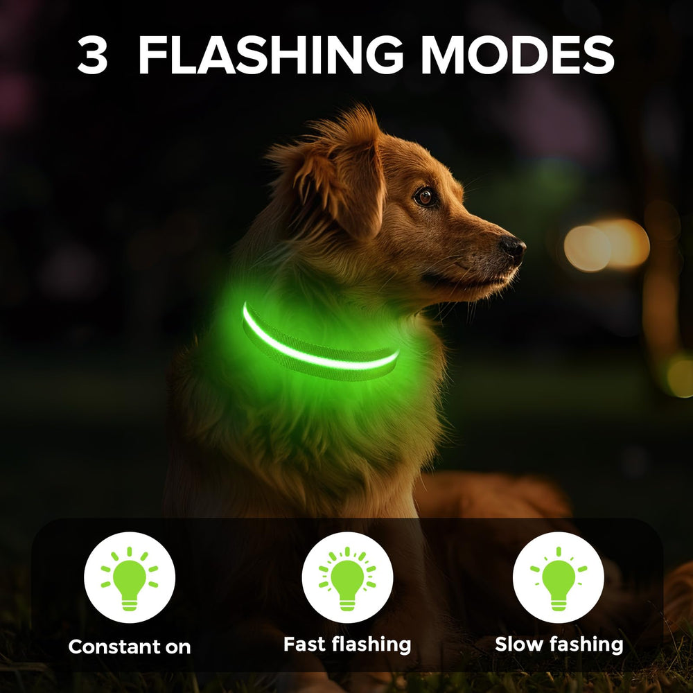 Jewyow light up dog collar with USB-C charging for extended outings.