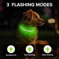 Jewyow light up dog collar with USB-C charging for extended outings.