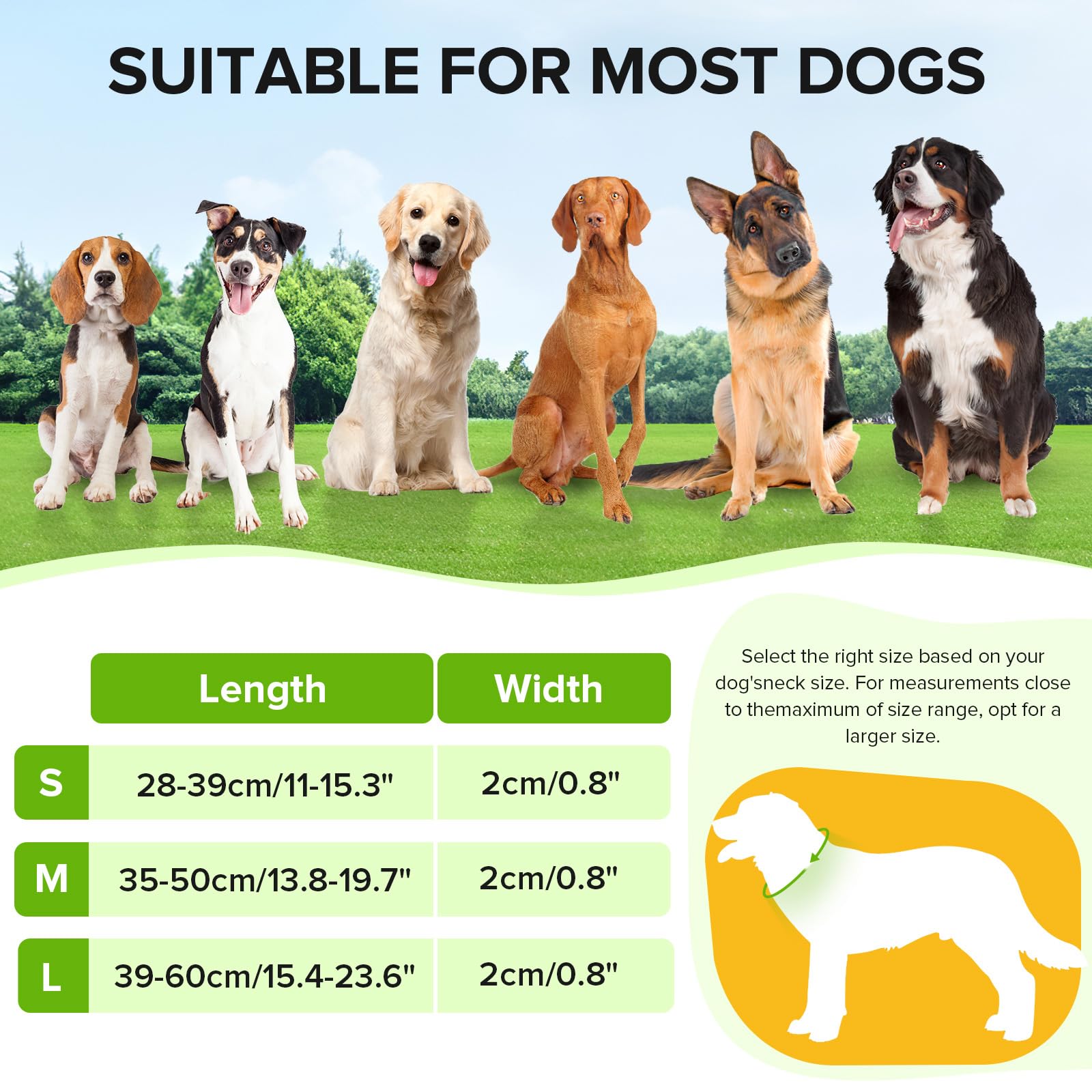 Jewyow light up dog collar is waterproof for all-weather use.