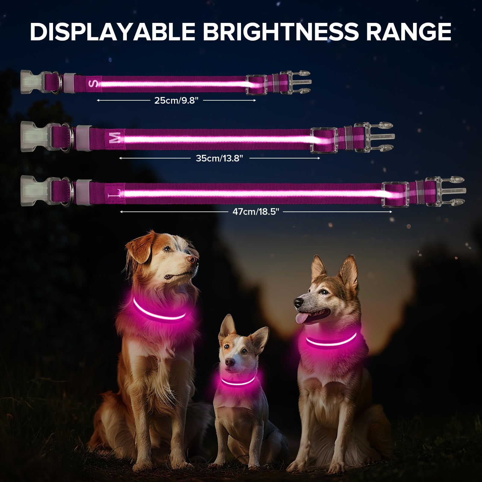 Jewyow light up dog collar pink charging usb-c port close-up for easy camping charging