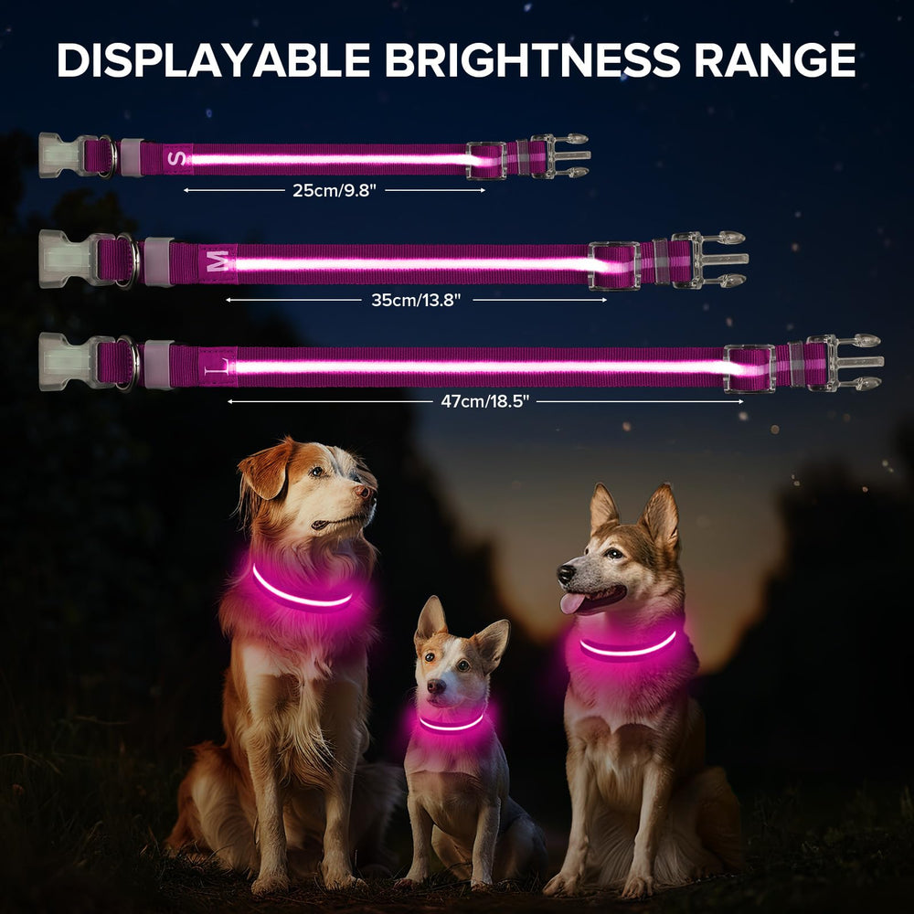 Jewyow light up dog collar pink charging usb-c port close-up for easy camping charging