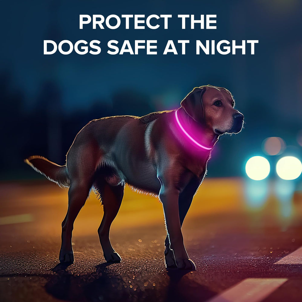 Jewyow light up dog collar pink glow modes close-up fast slow steady modes