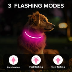 Jewyow light-up dog collar pink large at night glow to boost visibility