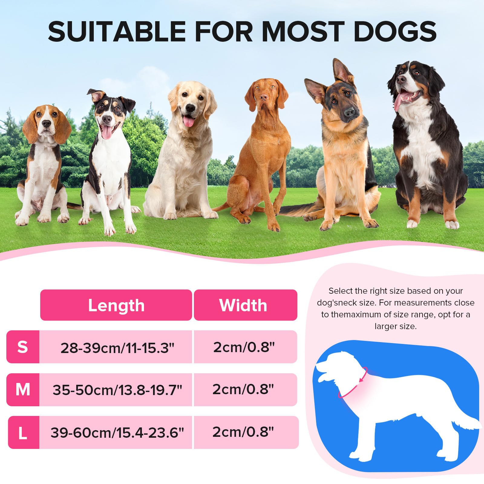 Jewyow light-up dog collar pink large breathable nylon material for comfortable wear