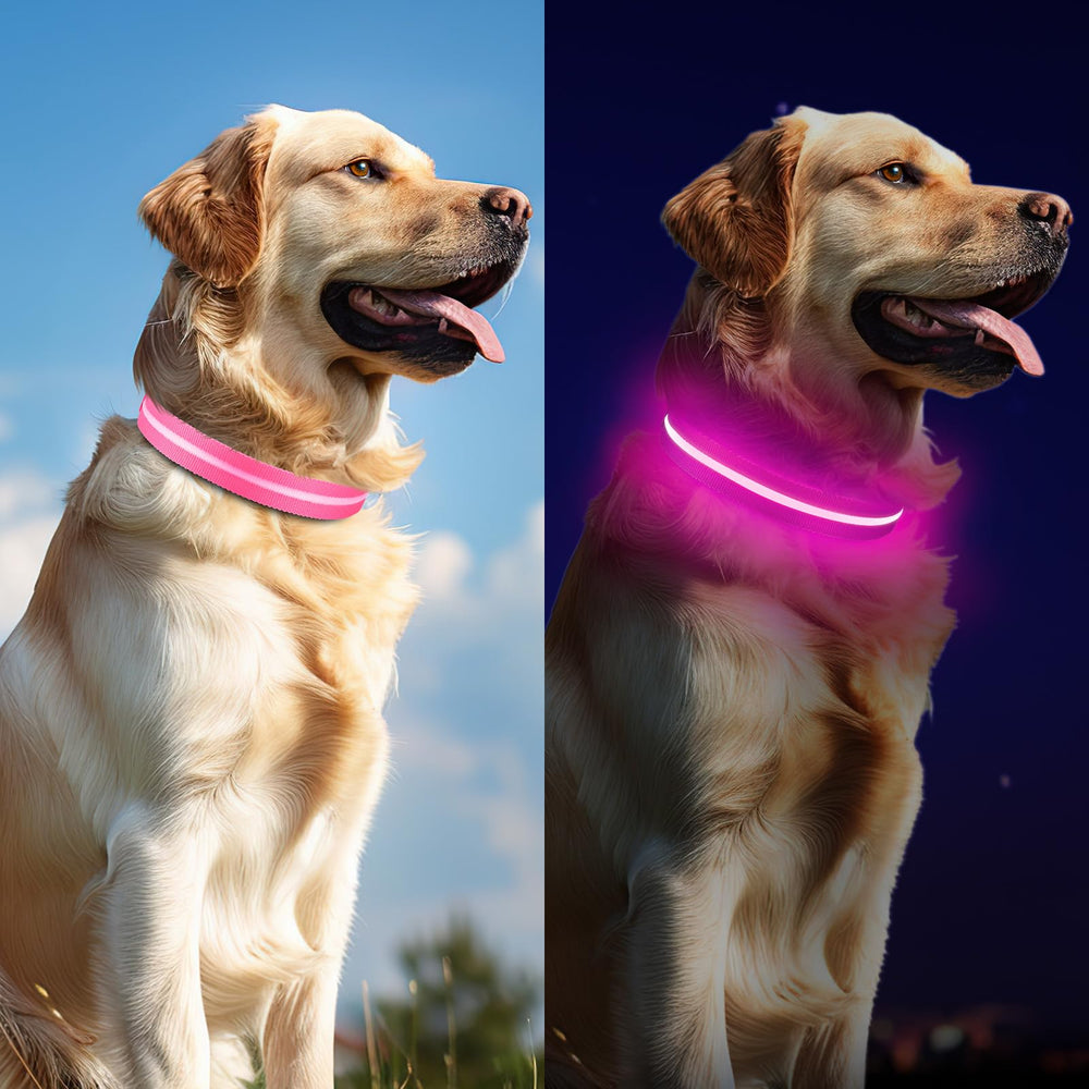 Jewyow light-up dog collar pink large waterproof design for outdoor use