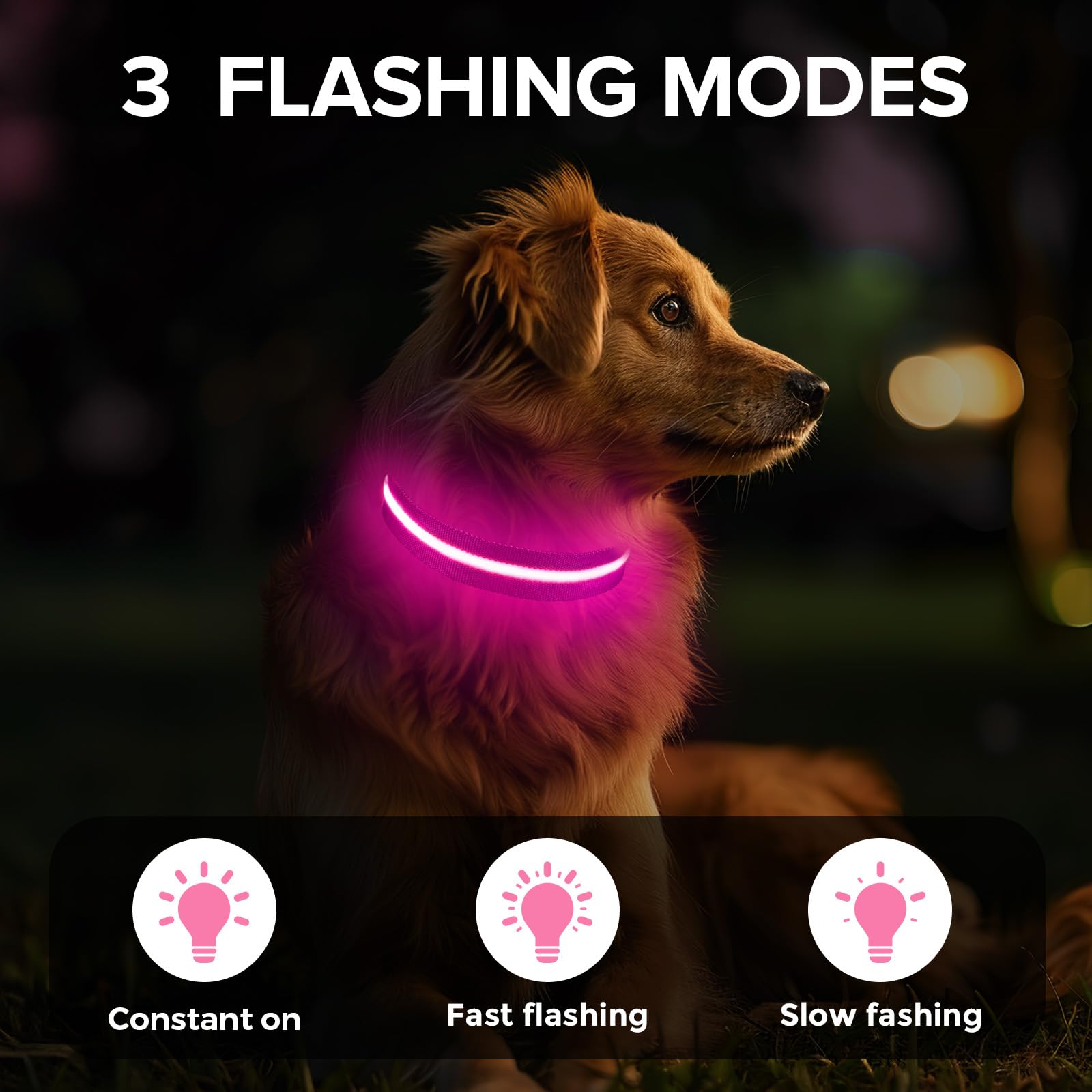 Jewyow light up dog collar pink on-dog night walk highlighting battery-powered glow and safety