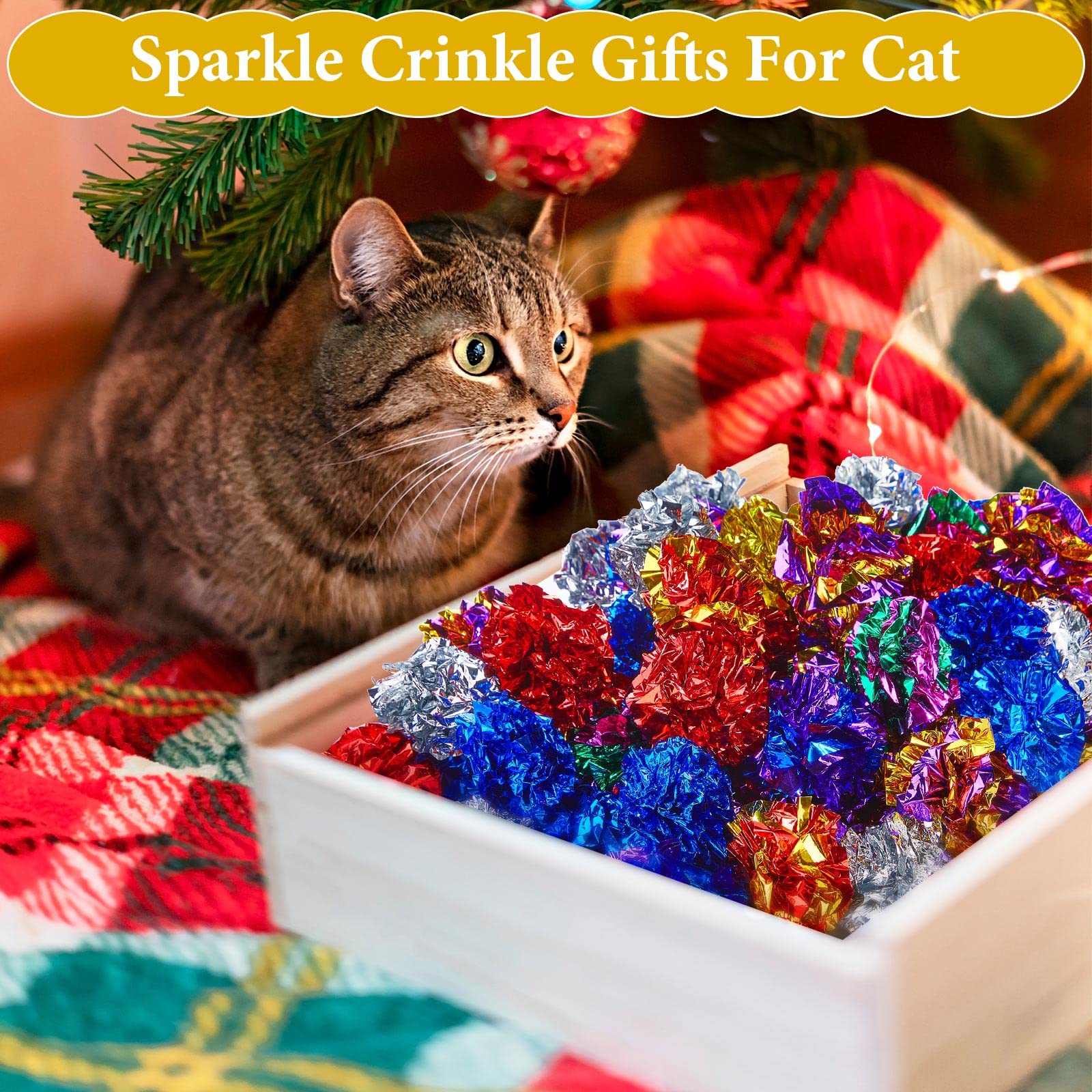 Jexine cat play kit supports indoor exercise and bonding moments.