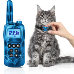 Jeyihka cat collar on a tiny kitten, ultra-light comfort for extended wear.