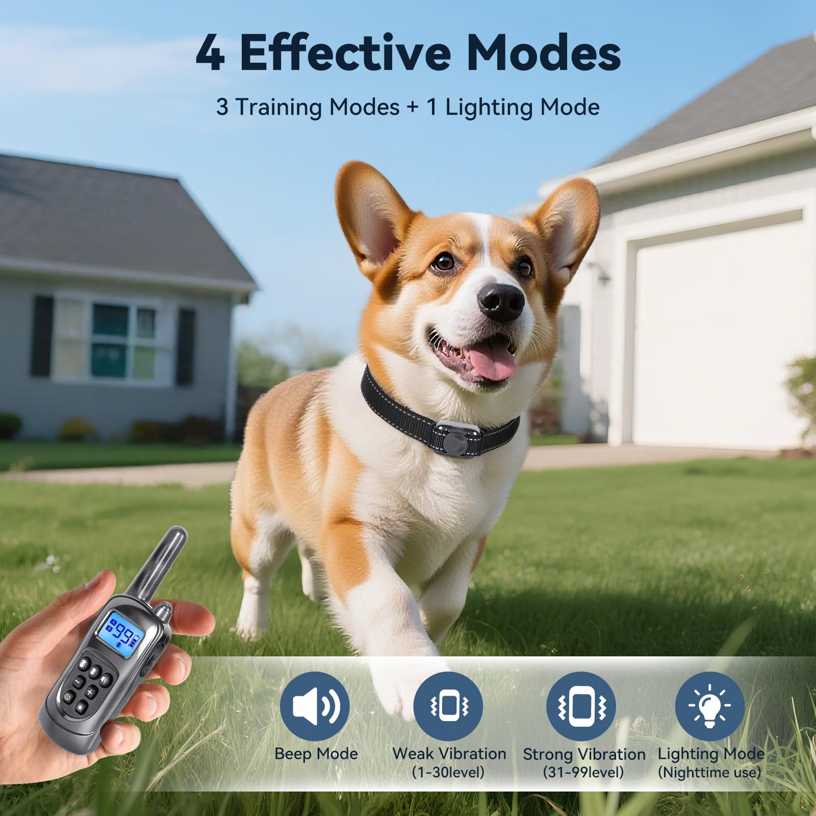 Jeyihka night-light on collar helps locate your dog during evening walks.