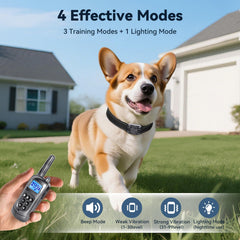 Jeyihka night-light on collar helps locate your dog during evening walks.