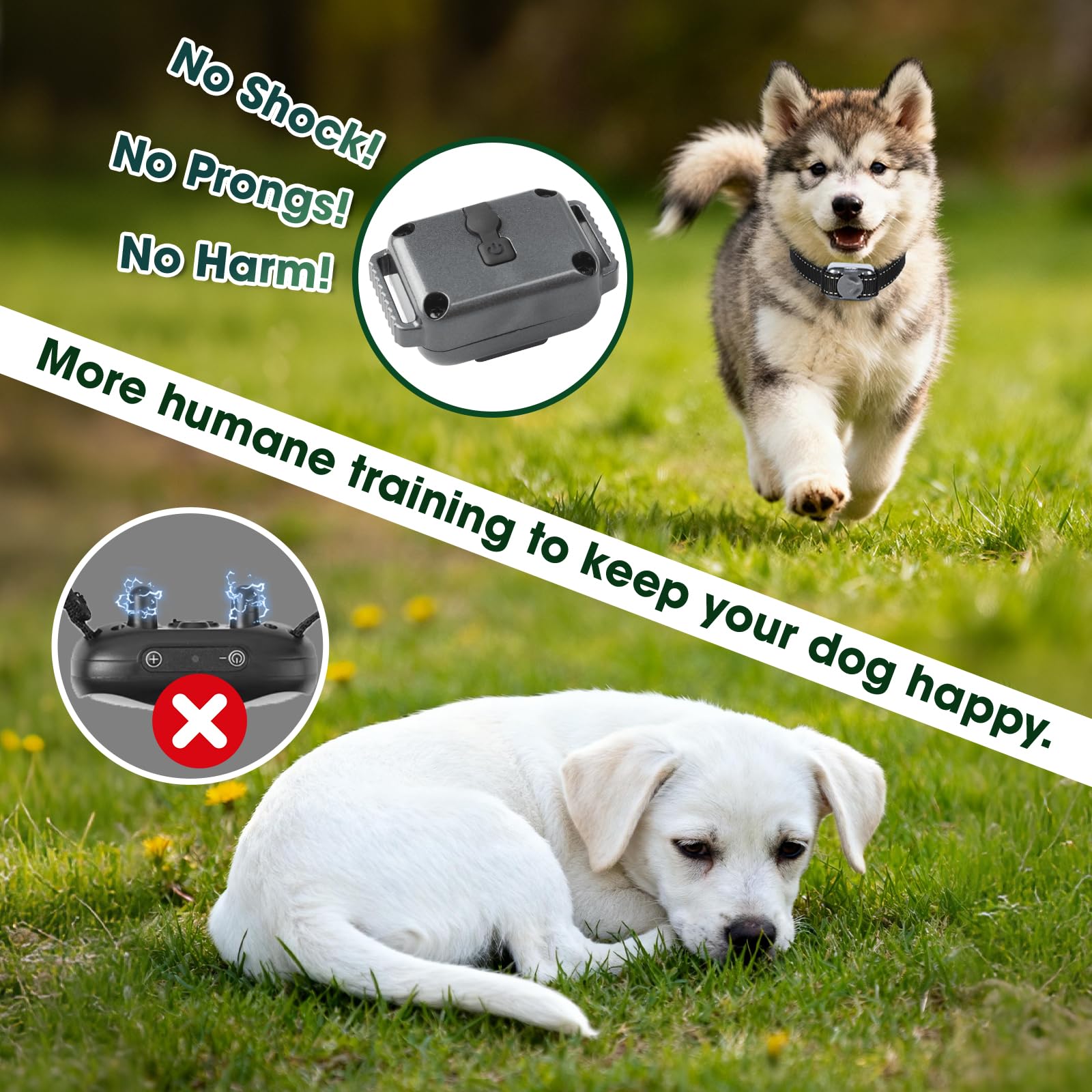 Jeyihka remote control with 2000 ft range for reliable recall training.