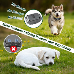 Jeyihka remote control with 2000 ft range for reliable recall training.