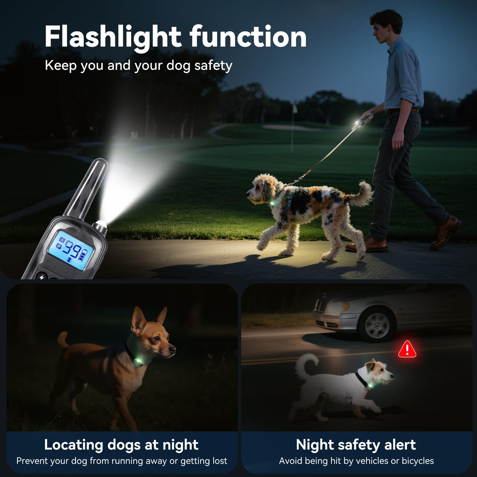 Jeyihka dual-channel setup supports training two dogs simultaneously