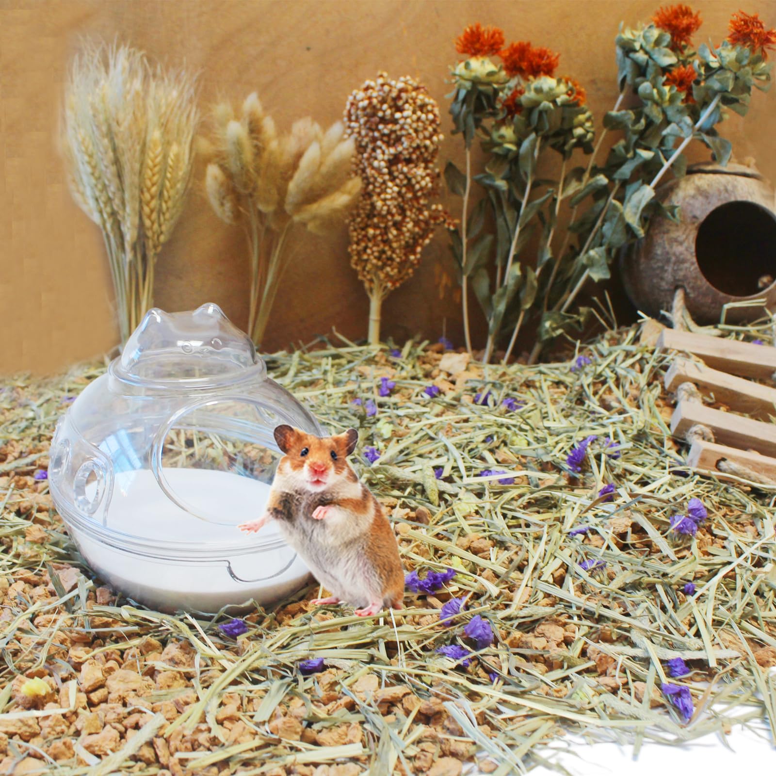 JFWOD hamster bath sand dries quickly after use for easy cleanup.