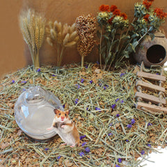 JFWOD arena para baño para varias mascotas pequeñas, suave y natural