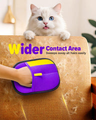 JGLXF clean sofa and carpet with wide-area glove contact for faster results