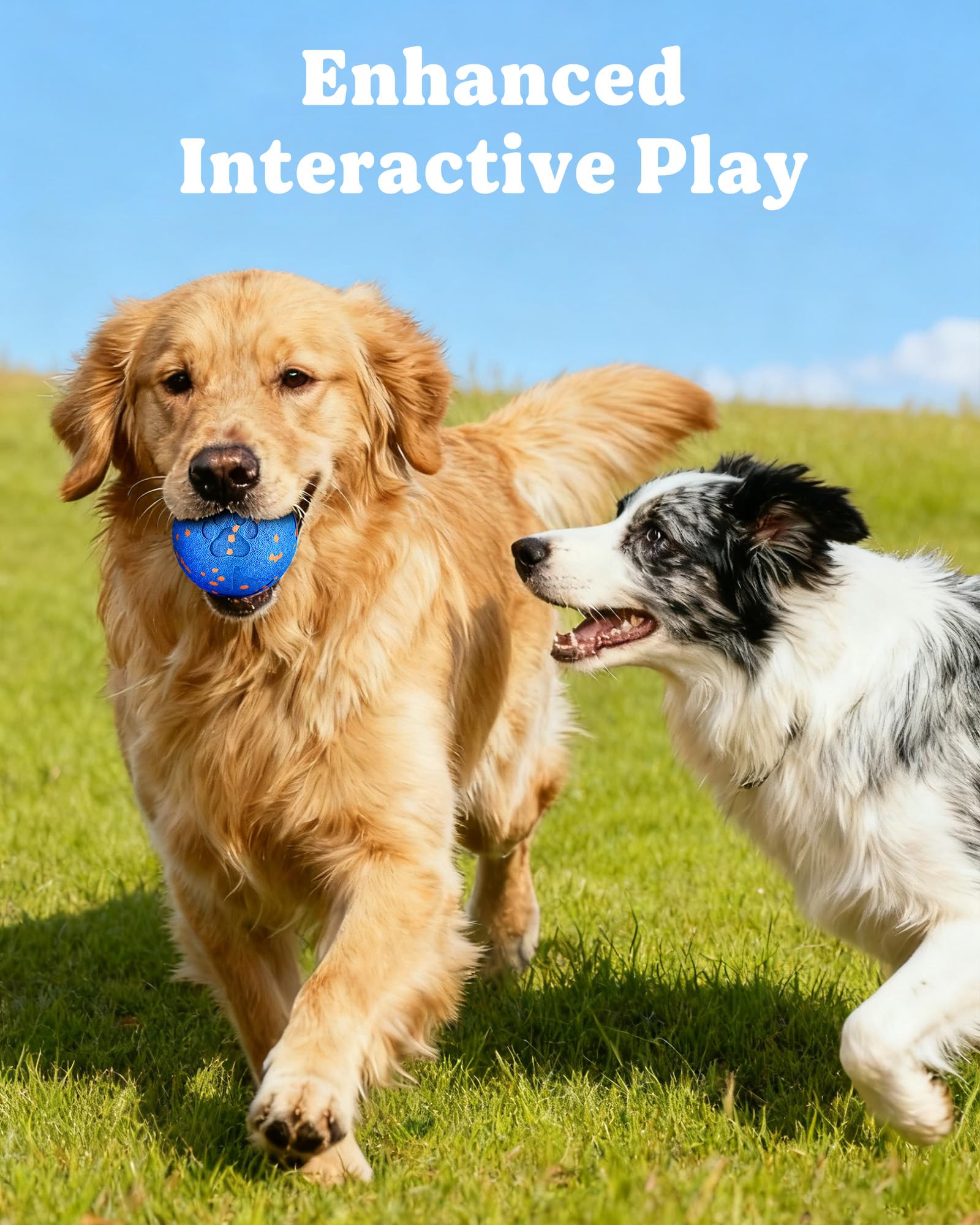 JGLXF dog owner interacting during training session improves bond and obedience.