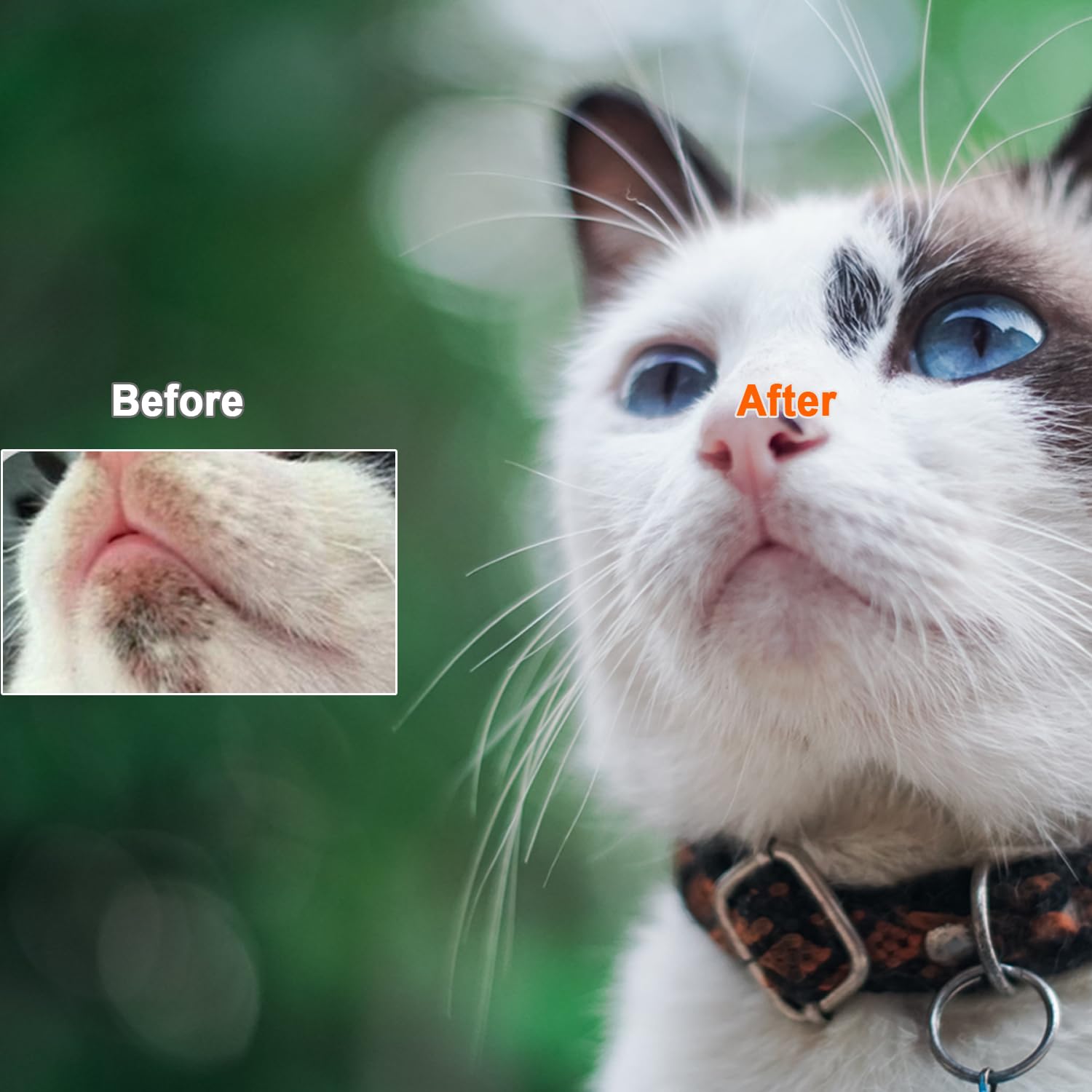 JGocot Cat Grooming Essentials massage bulge-dot side for soothing facial massage.