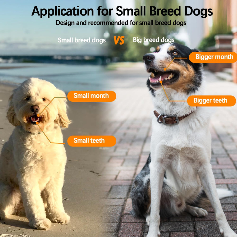 JGocot soft-bristles protect sensitive gums while brushing small pets