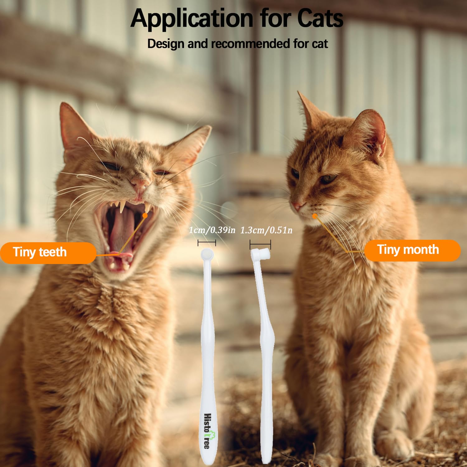 JGocot two-pack packaging highlights convenient replacement for multiple pets