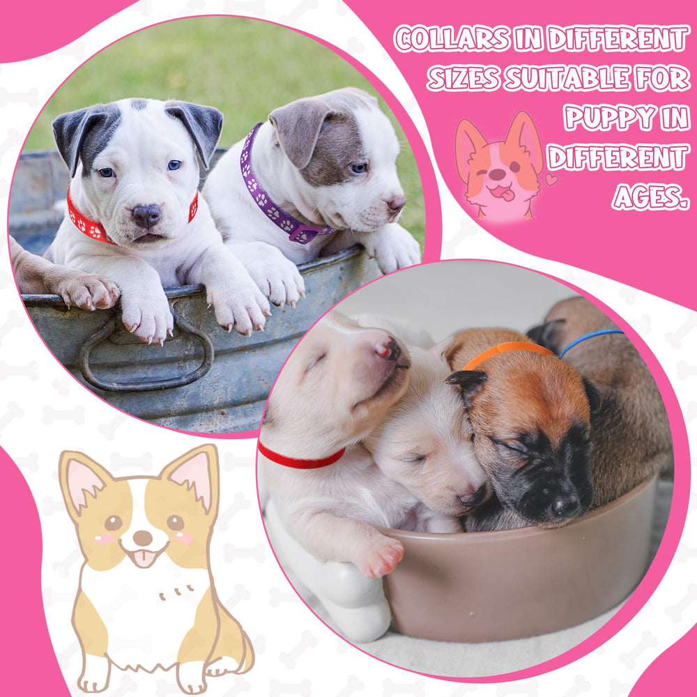 JieyueJewelry puppy ID collar – helps track growth and identification.