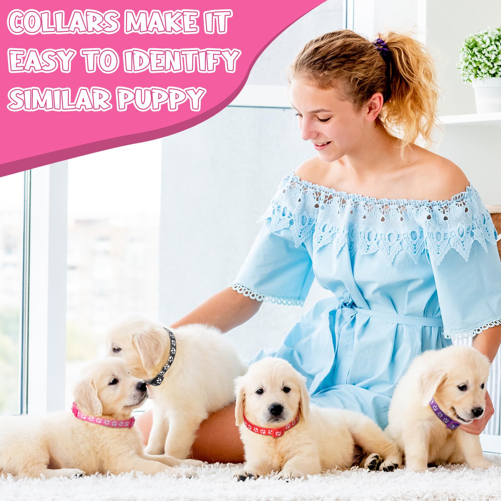 JieyueJewelry small dog collar – fashionable, simple, and comfortable.