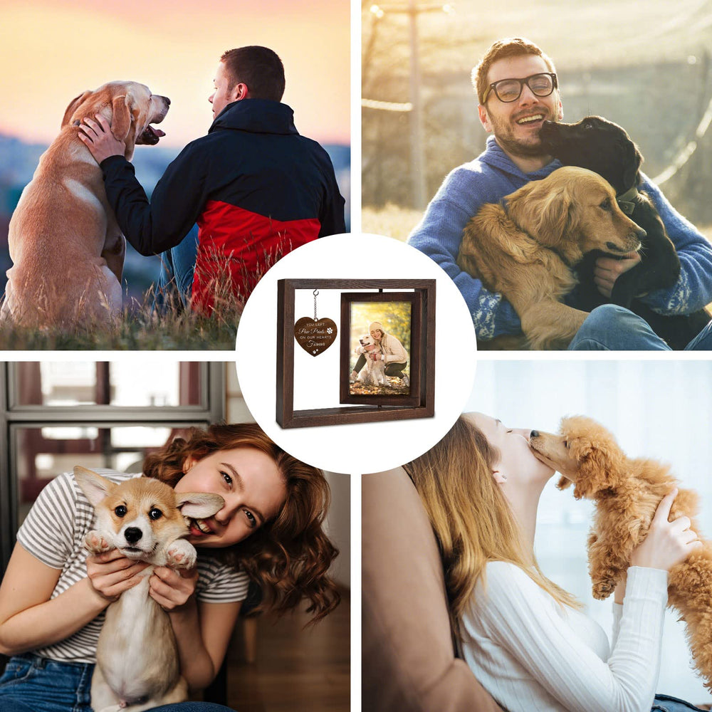 Jigfoxy dog memorial frame acrylic divider protects photos