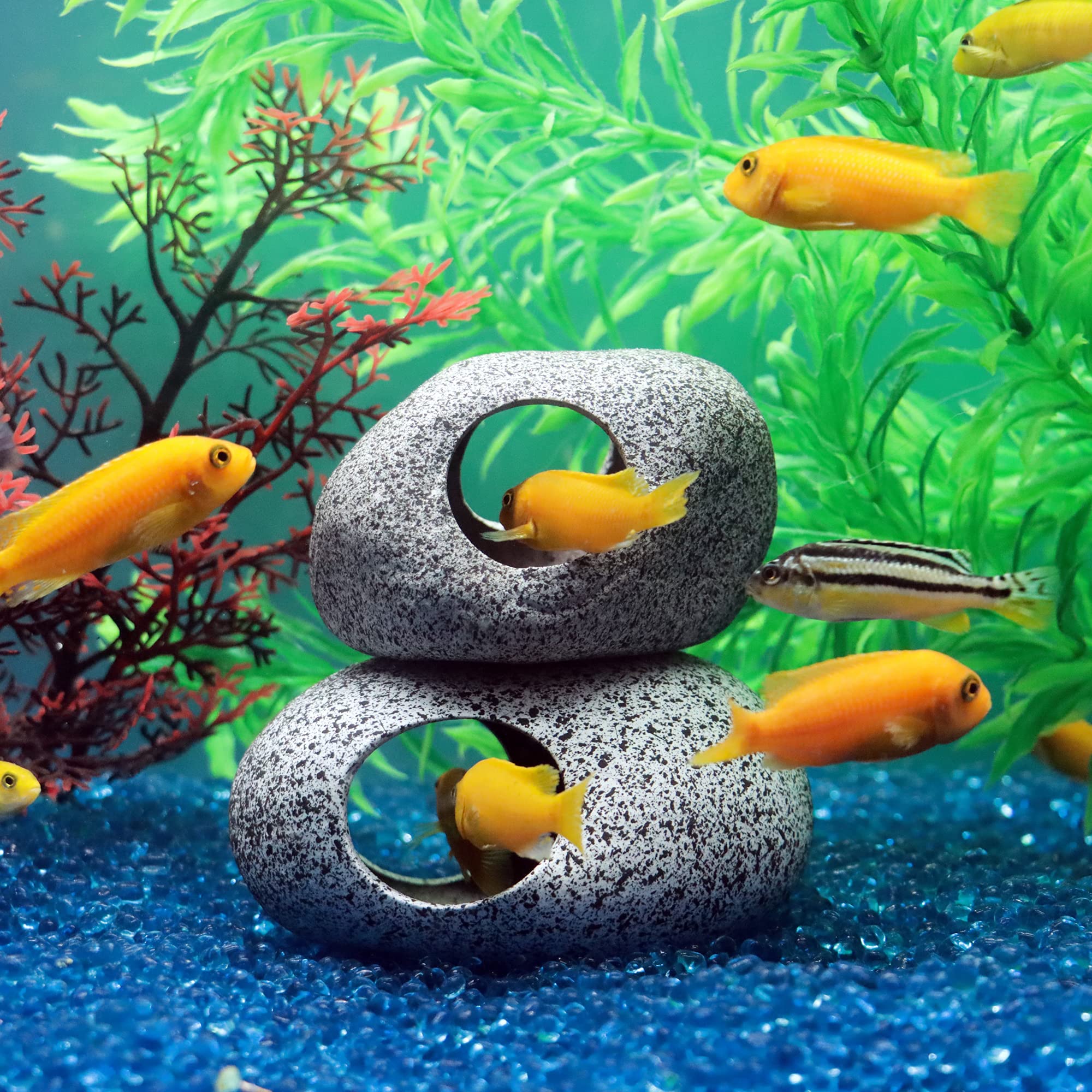 JIH hiding cave for Betta adds secure refuge and enrichment