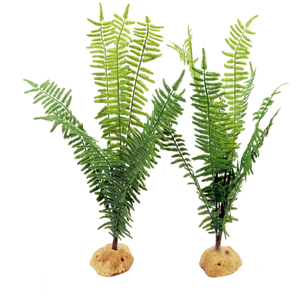 Jihaqua fake fern resin-base ensures stable, upright terrarium decor.