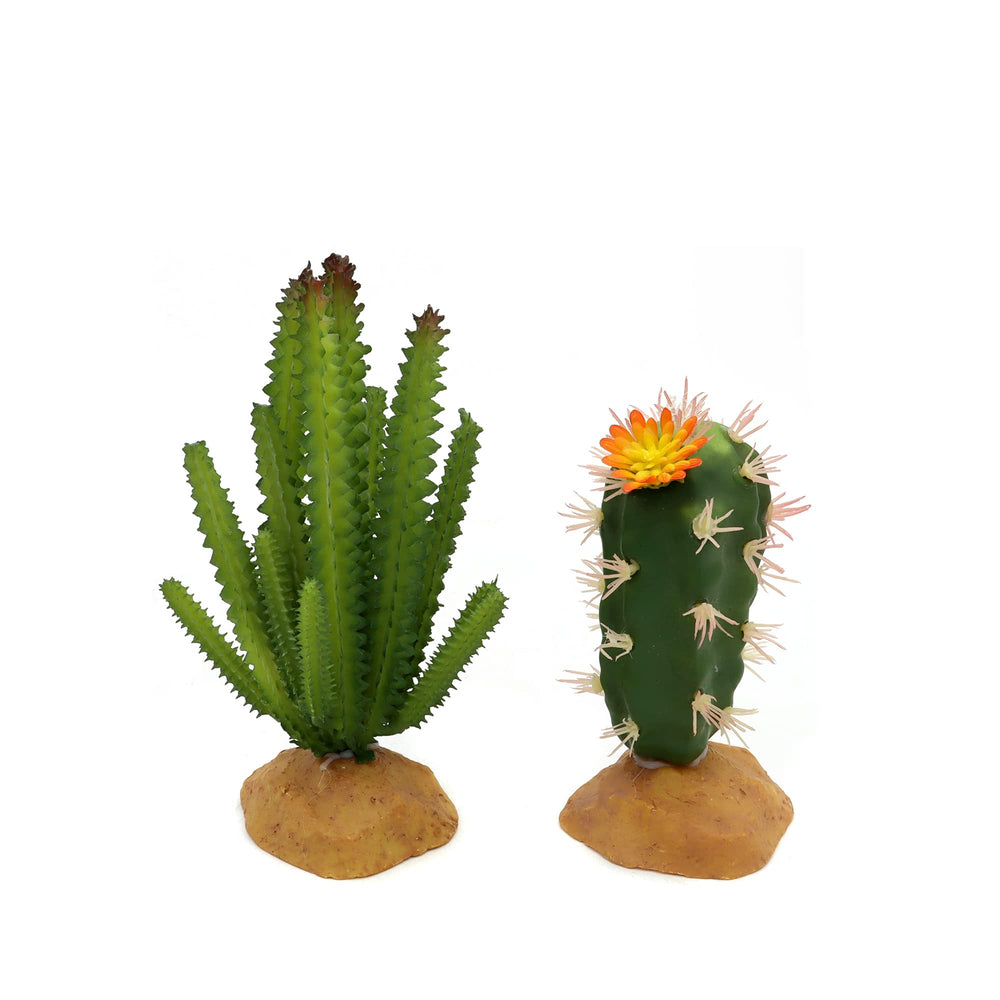 Jihaqua Reptile Plants Set2 Dimension-Range: size variety supports flexible terrarium layouts