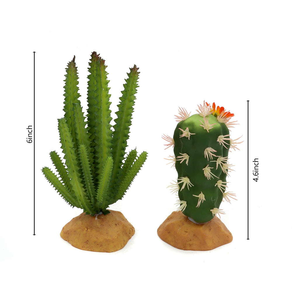 Jihaqua Reptile Plants Set2 Pair-2: varied greens add depth and texture