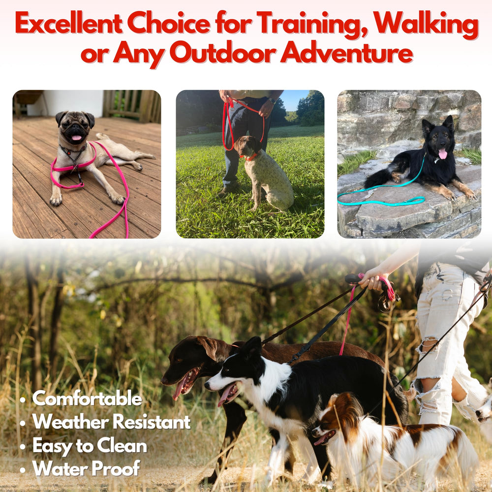 Jim Hodges Biothane leash shows color options and versatile training use.