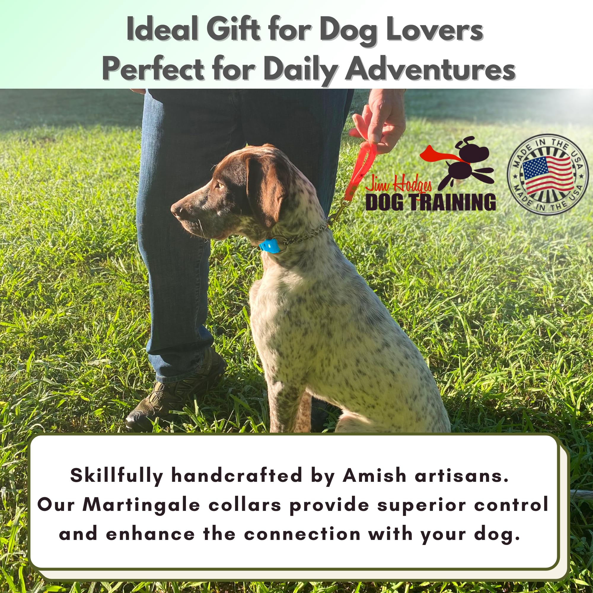 Jim Hodges Dog Training color variations for different dogs