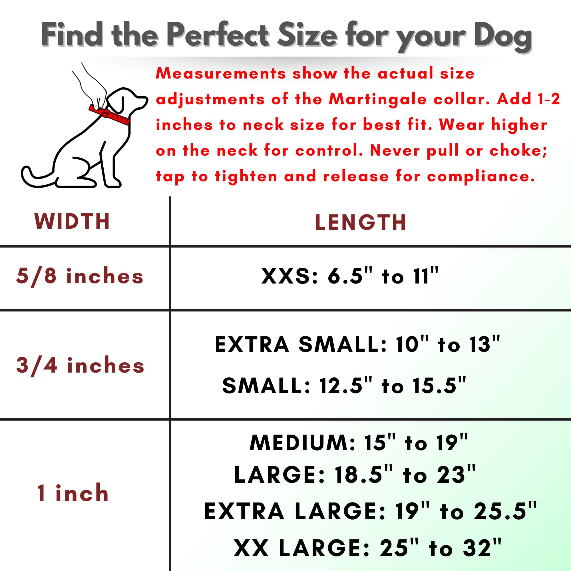Jim Hodges Dog Training no-pull design supports calm training sessions
