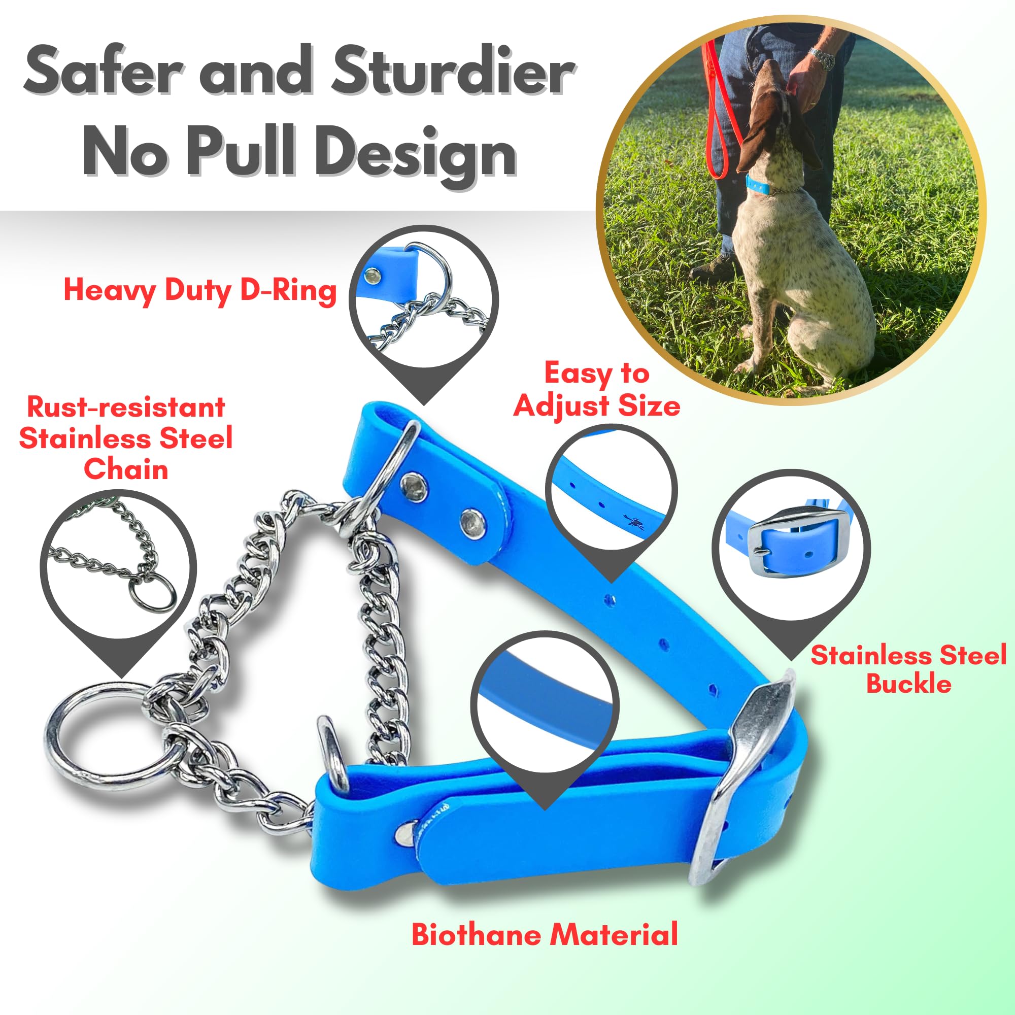 Jim Hodges Dog Training weatherproof collar shown during outdoor training
