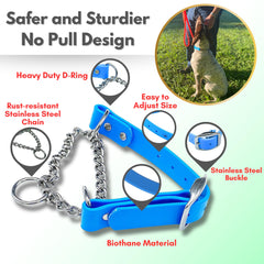 Jim Hodges Dog Training weatherproof collar shown during outdoor training
