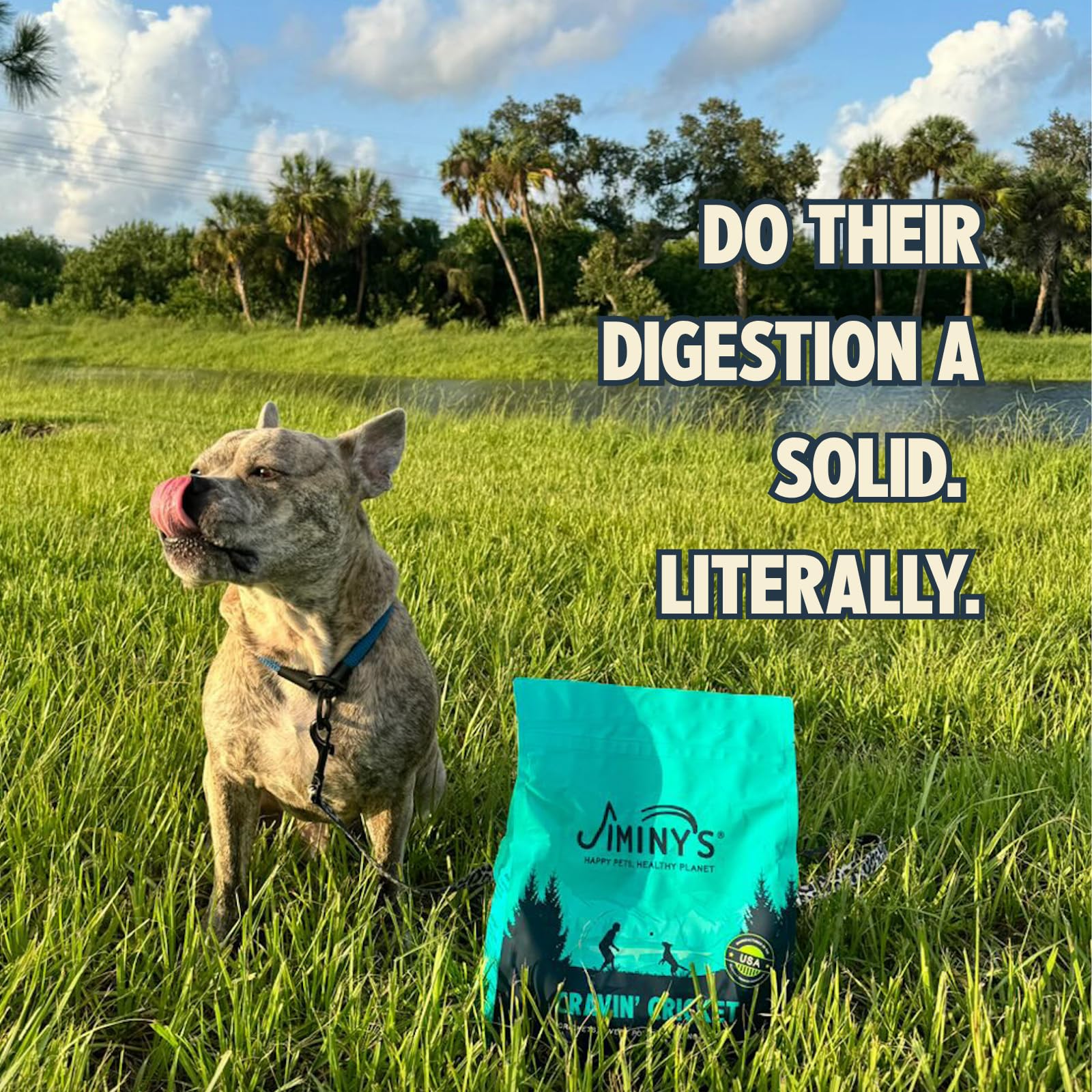 Jiminy's Cravin' Cricket dry dog food sustainable packaging hints at lower environmental impact.