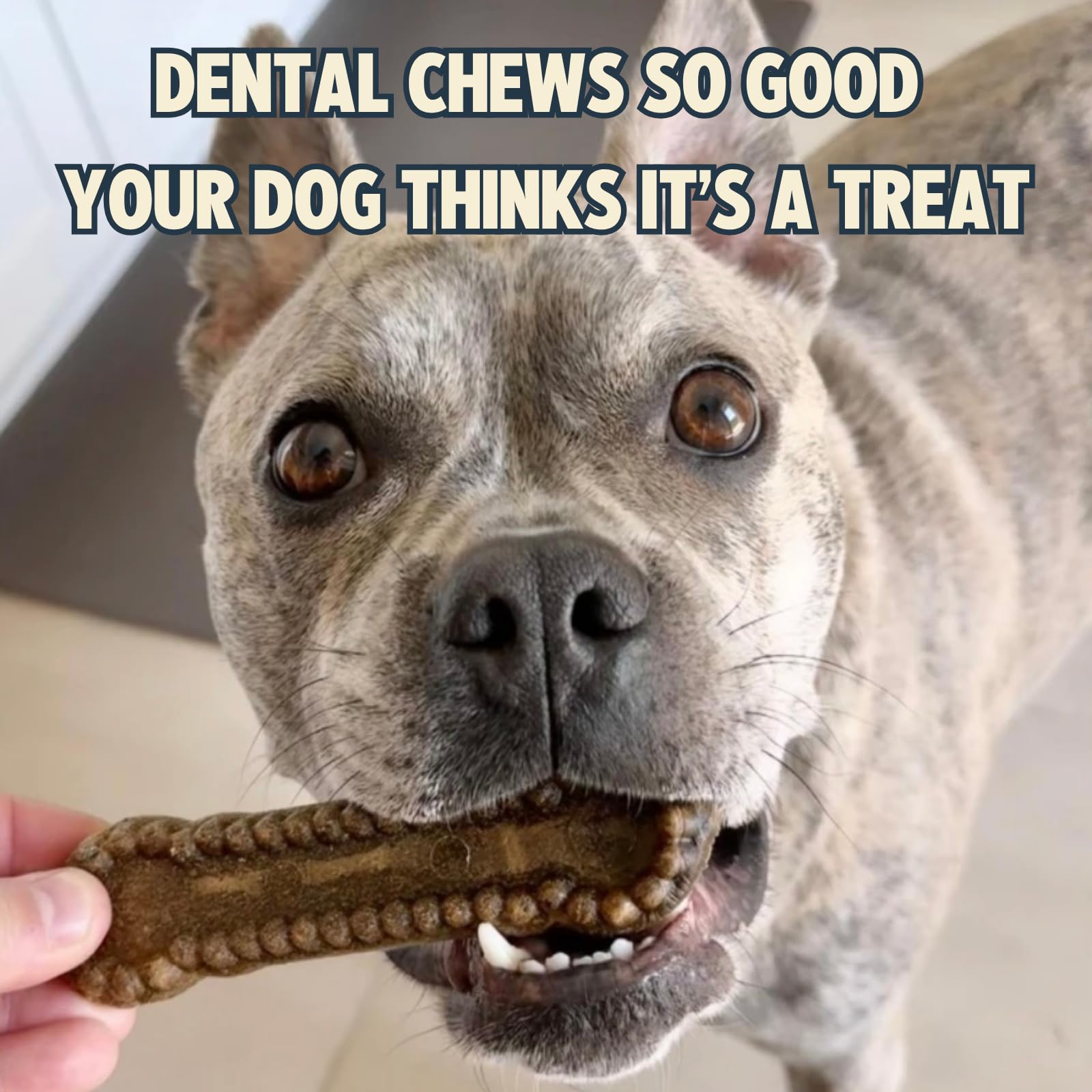 Jiminy's dental chews cinnamon closeup emphasizes tasty aroma that dogs often enjoy.