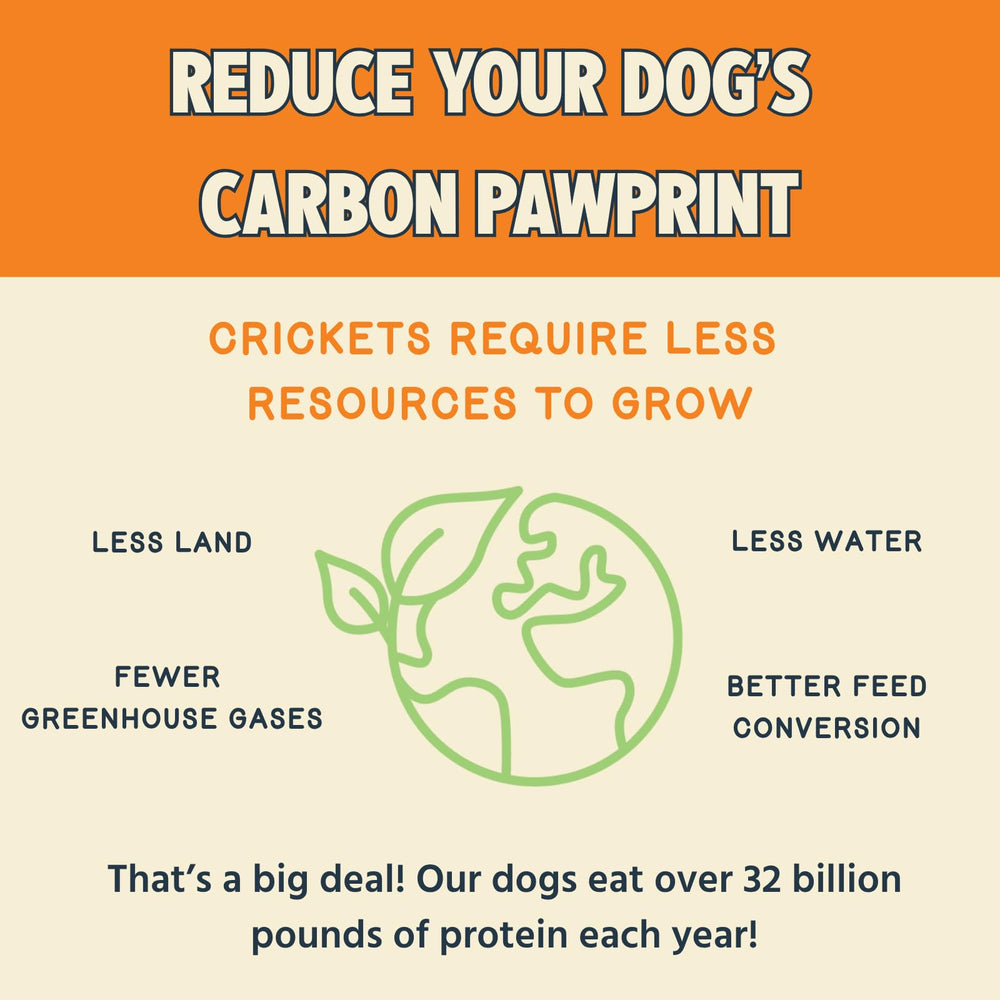 Jiminy's hypoallergenic cricket protein treats, gentle for sensitive dogs.