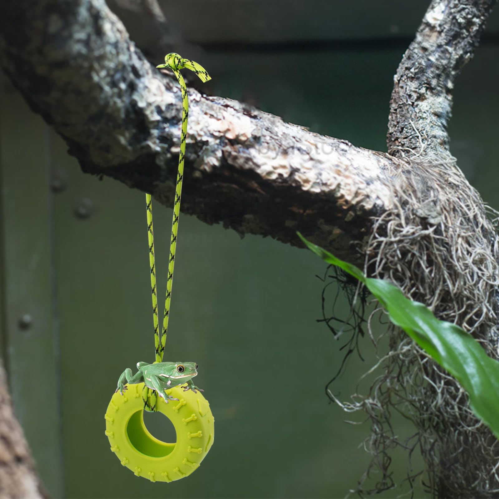 JINGHANGER 2pcs tire swing suits reptiles, amphibians, and crustaceans.