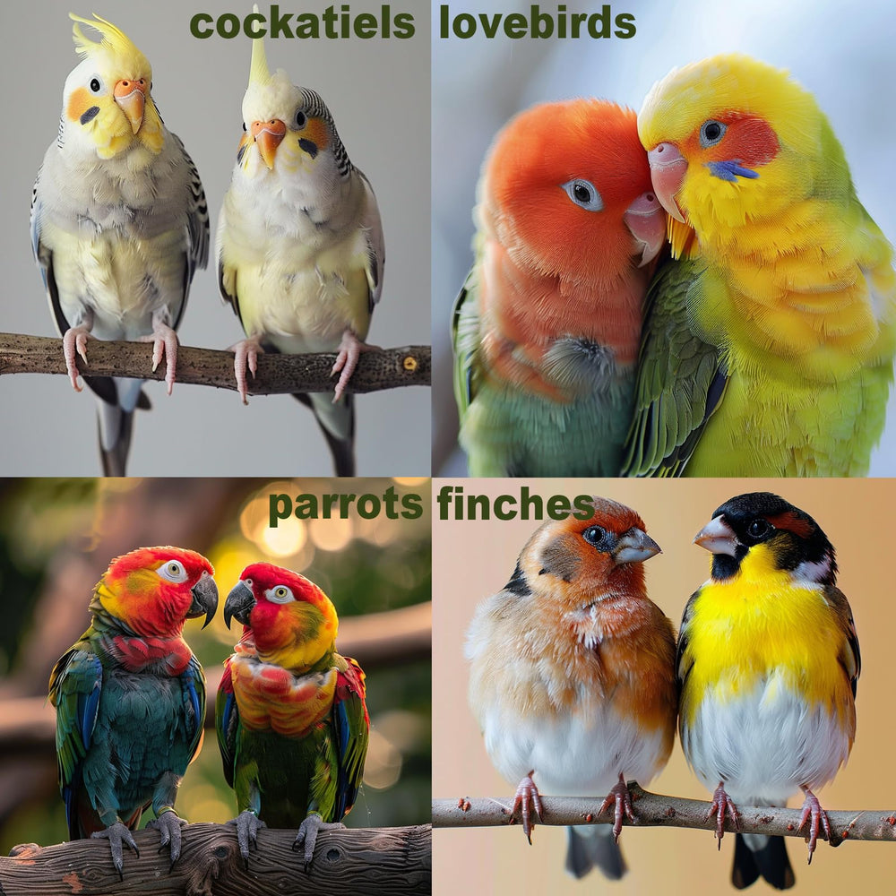 JINJINANV natural-wood-bird-toys offer chew-friendly enrichment for small birds.