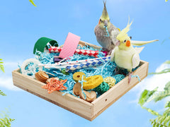 Jinkoozz Colorful Non-Toxic Materials Toy Box, stimulating attention and safe chewing for happy birds.