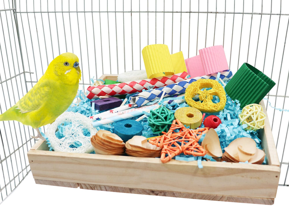 Jinkoozz Dual Foraging Design image, treats hidden inside to boost exploration and treat-time engagement.